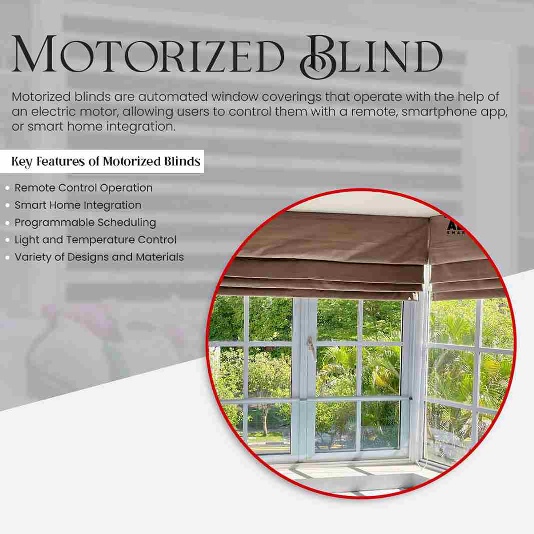 Motorized Blinds